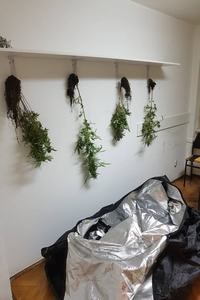Slika /Droga/Droga-Kostrena (4).jpg